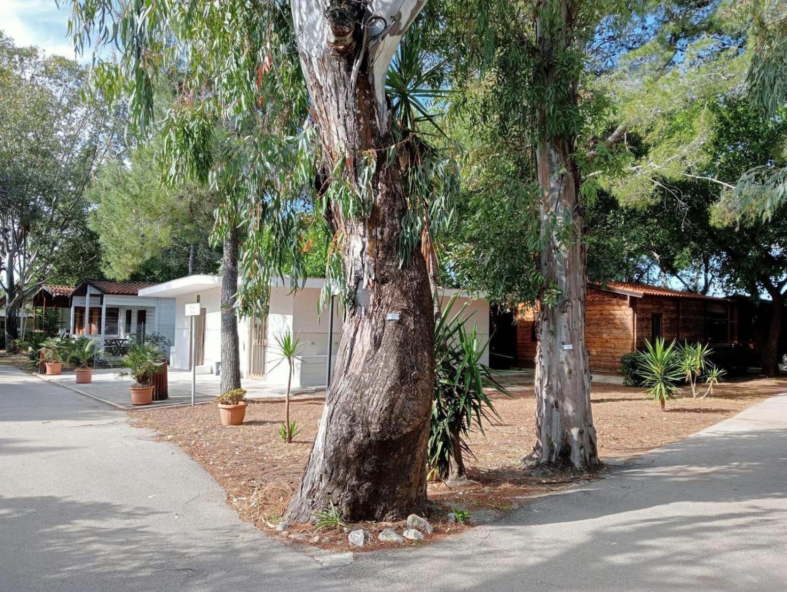 Viola Club Village & Camping 弗切瓦拉诺 外观 照片