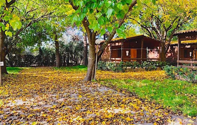 Viola Club Village & Camping 弗切瓦拉诺 外观 照片